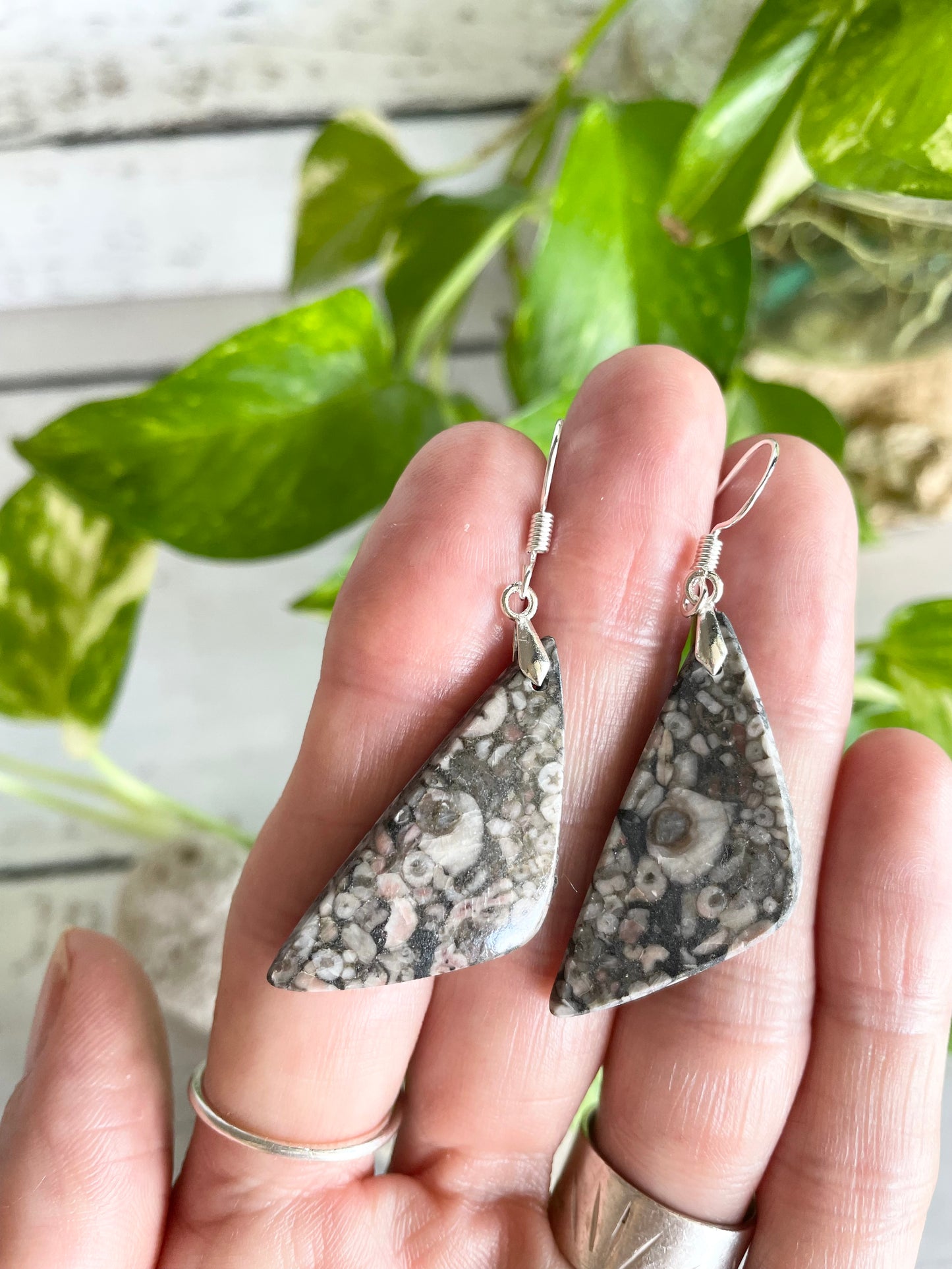 SweetGrass Studio ~ Crinoid Fossil Dangles