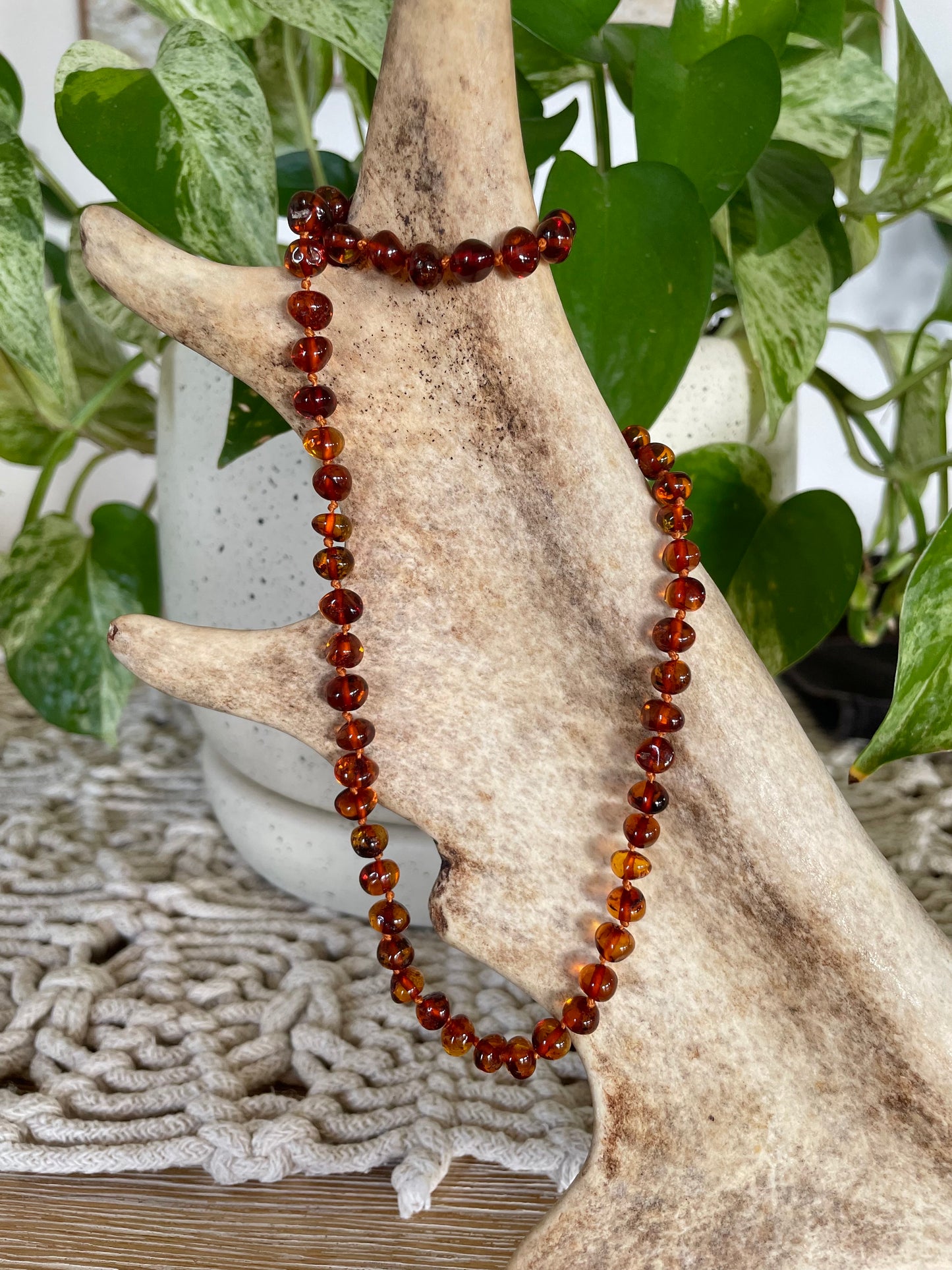 Amber Beaded Necklace ~ Honey-tone Colour