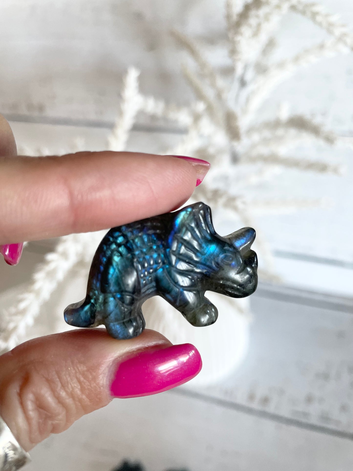 Intuitively Chosen ~ Labradorite Triceratops