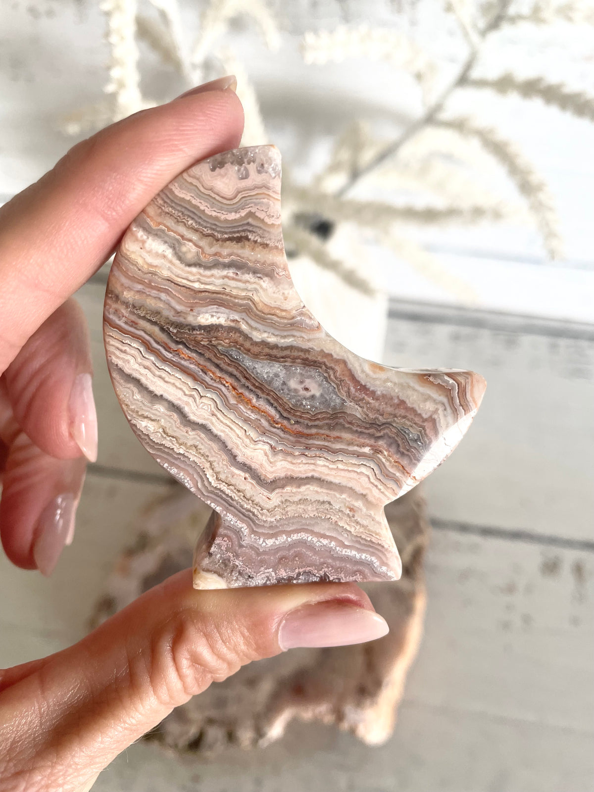 Mexican Pink Crazy Lace Agate Moon