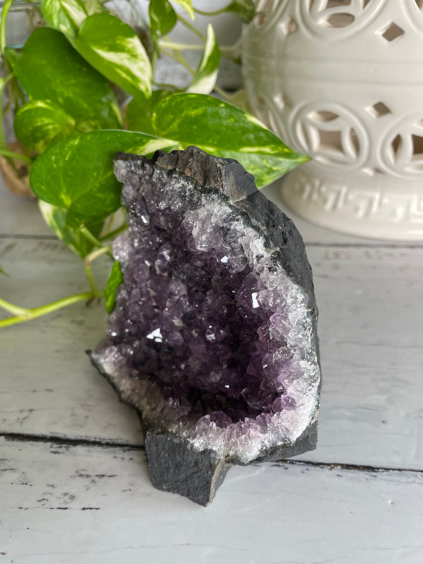 Amethyst Cluster