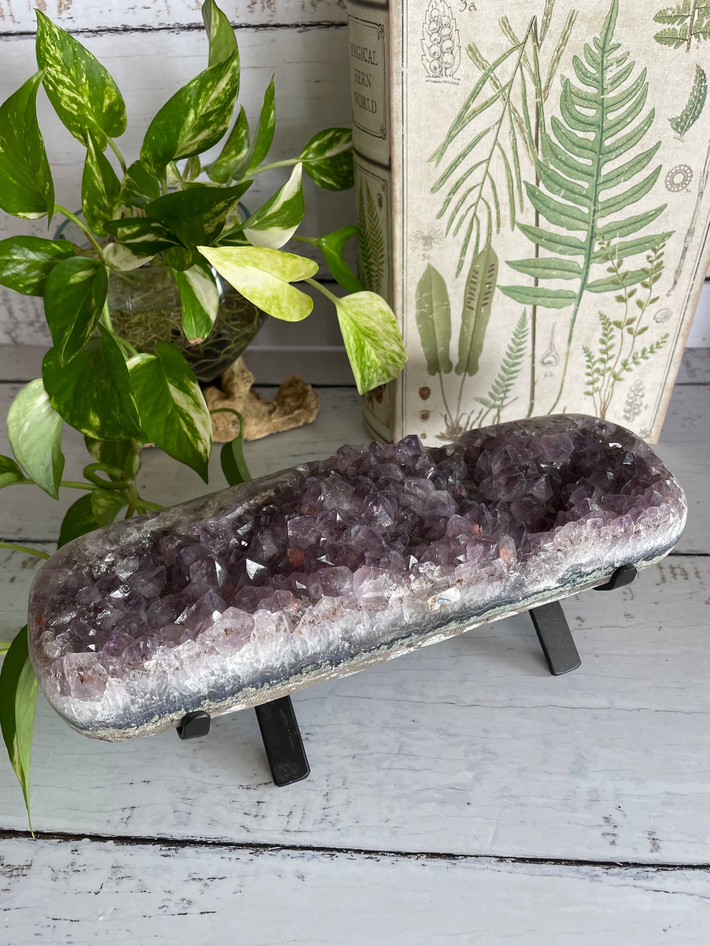 Amethyst Cluster Table Topper ~ 3kgs