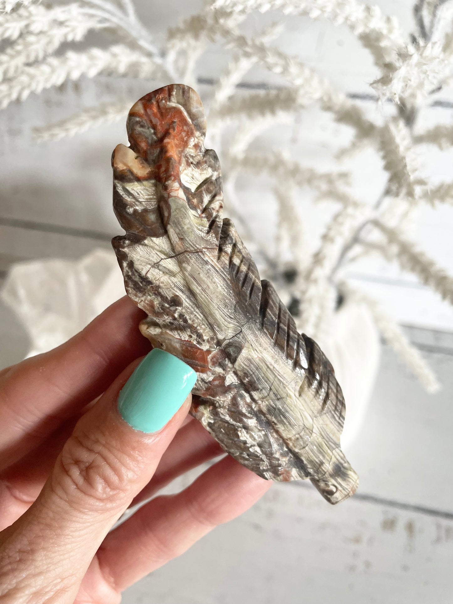 Mexican Crazy Lace Agate feather