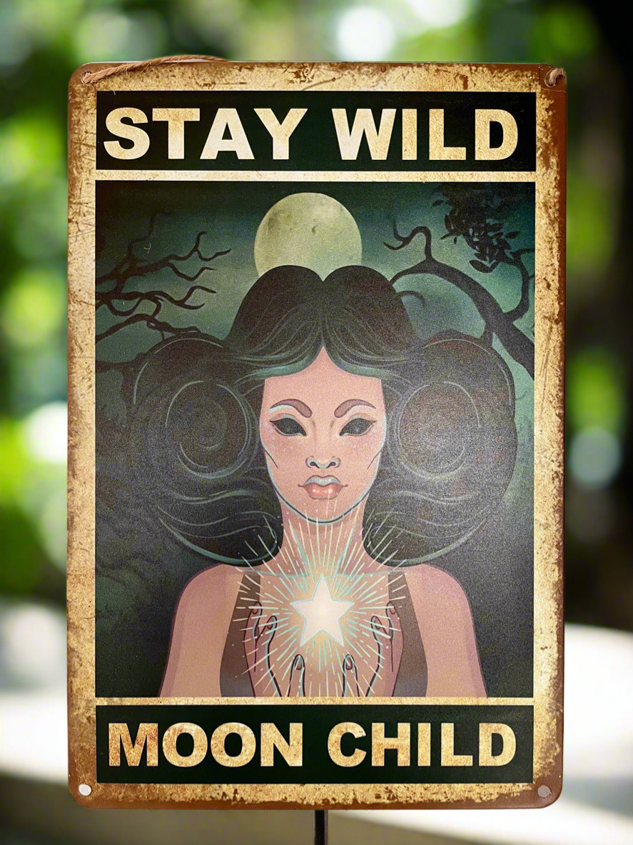 Rustic Sign - Stay Wild