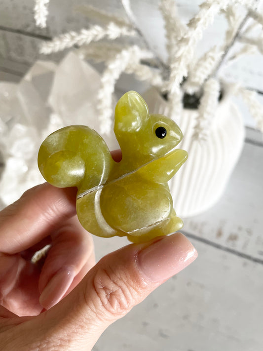 Canadian Jade Squirrel