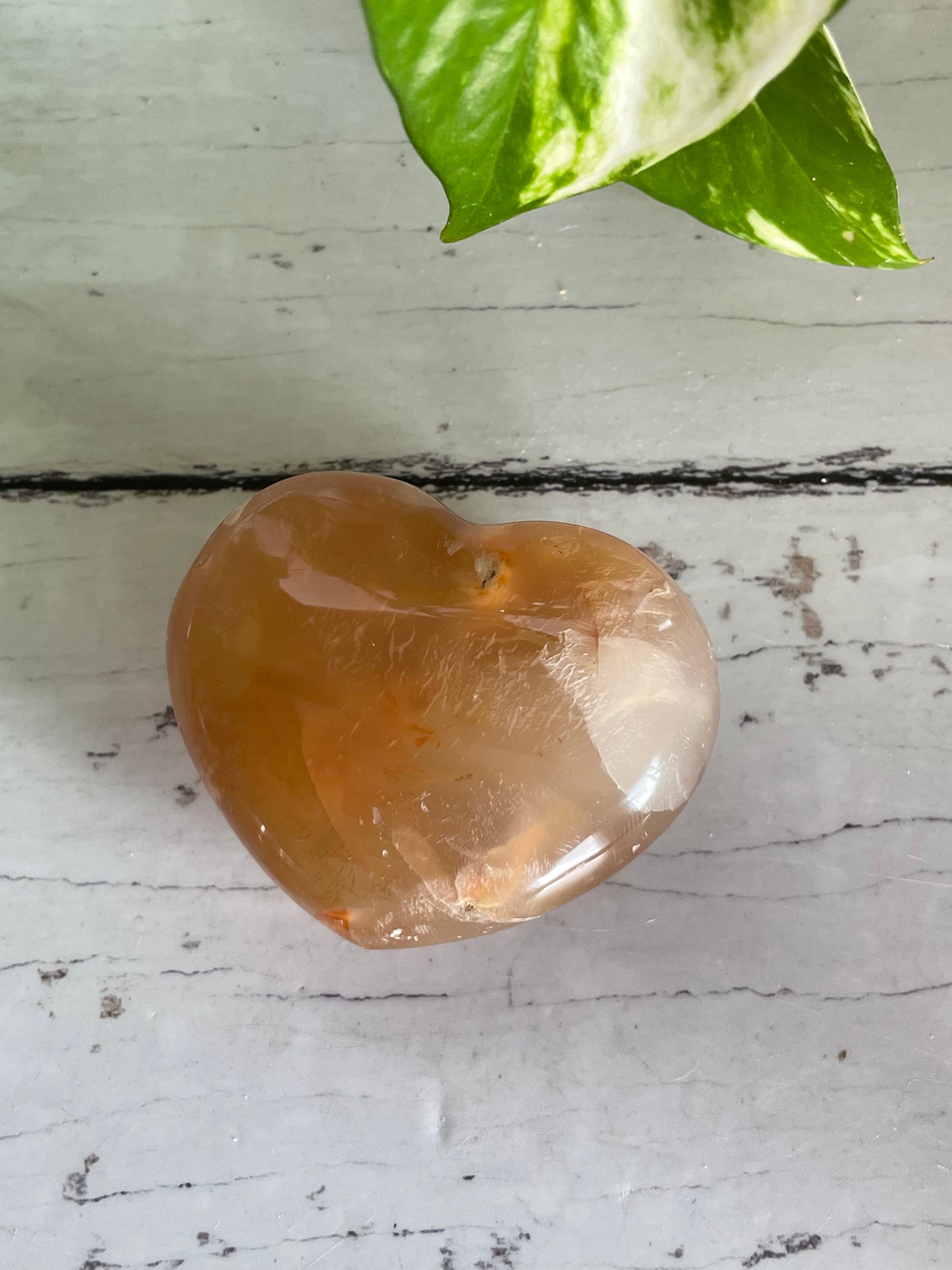 Flower Agate Heart