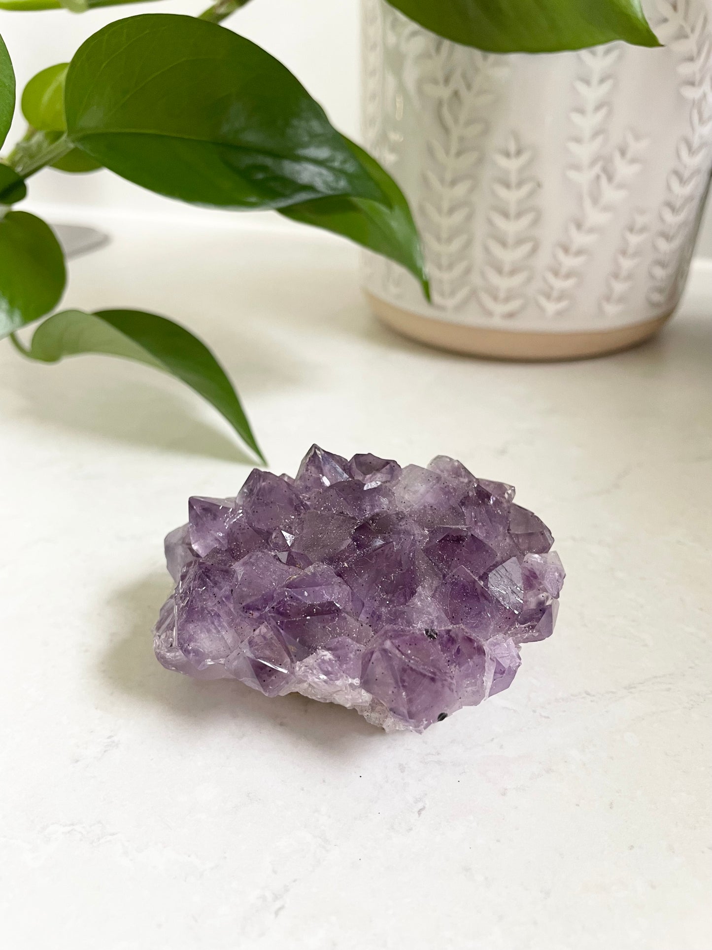 Amethyst Cluster