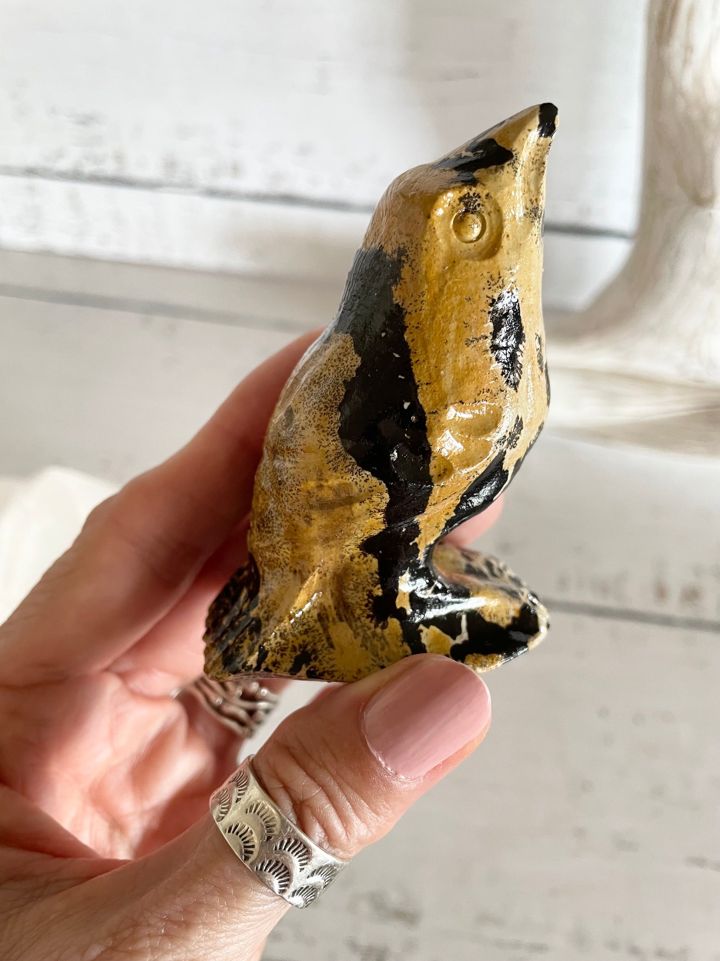 Picture Jasper Robin ~ 13