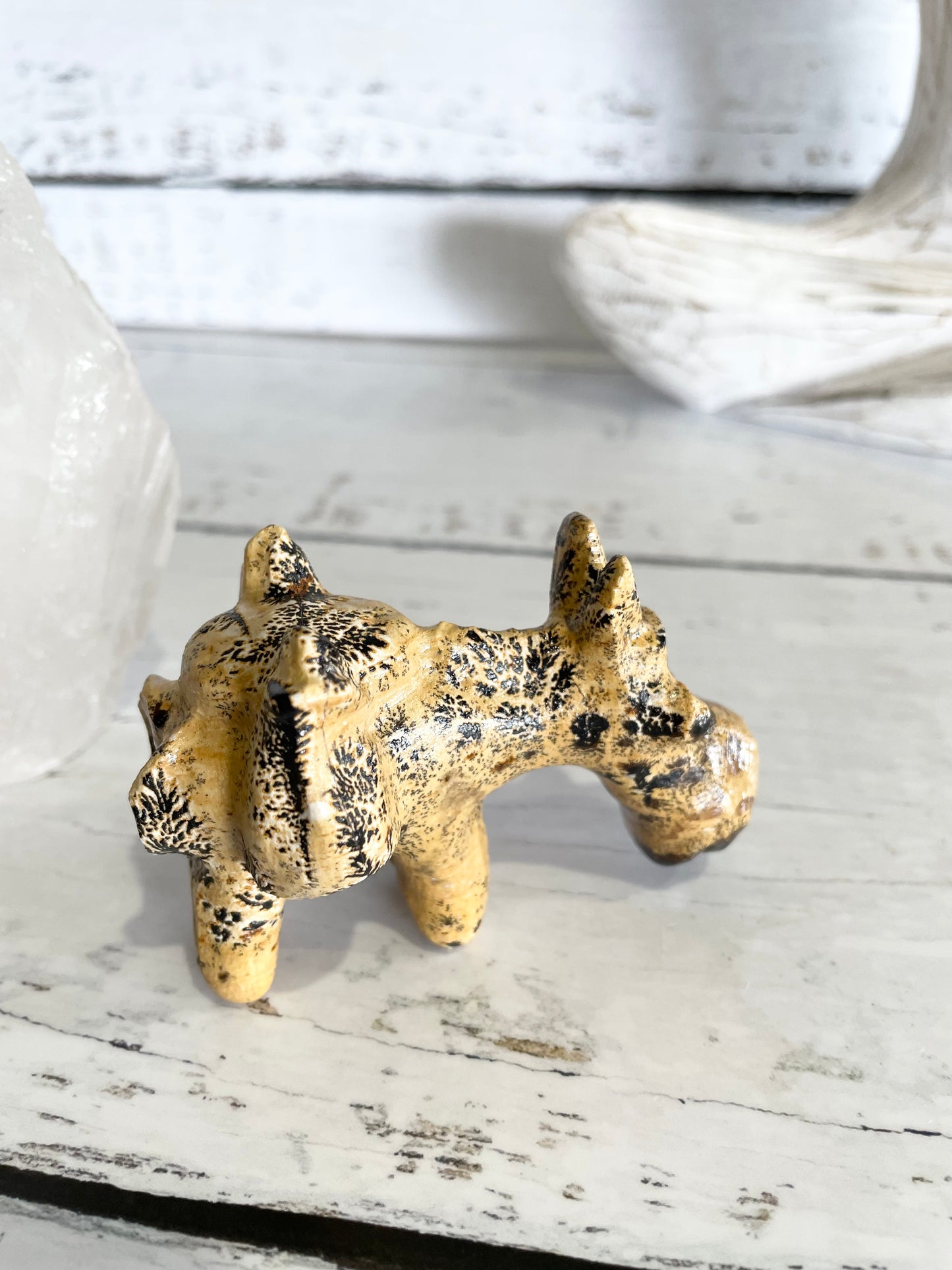 Picture Jasper Donkey ~ 3