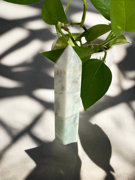 Caribbean Calcite Generator
