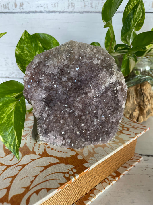 Amethyst Standing Cluster ~ 1.2kgs