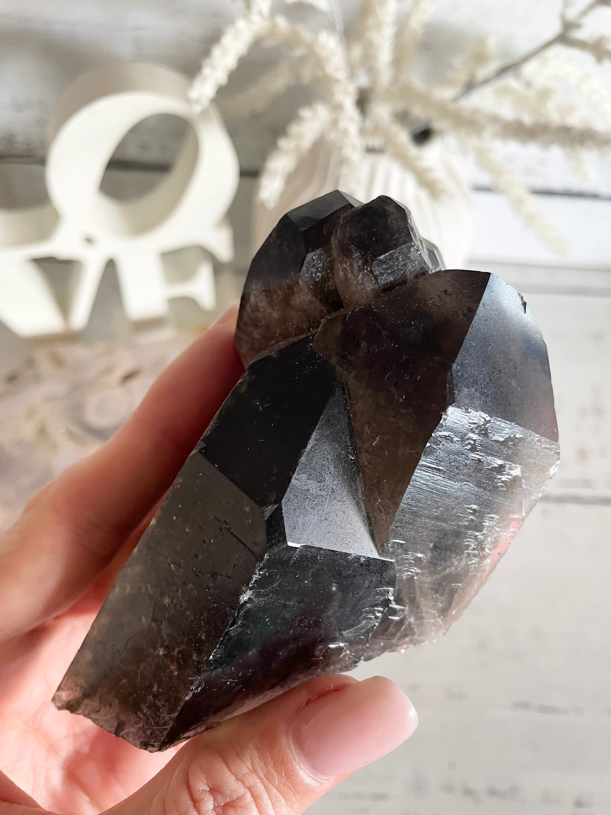 Smoky Quartz Cluster