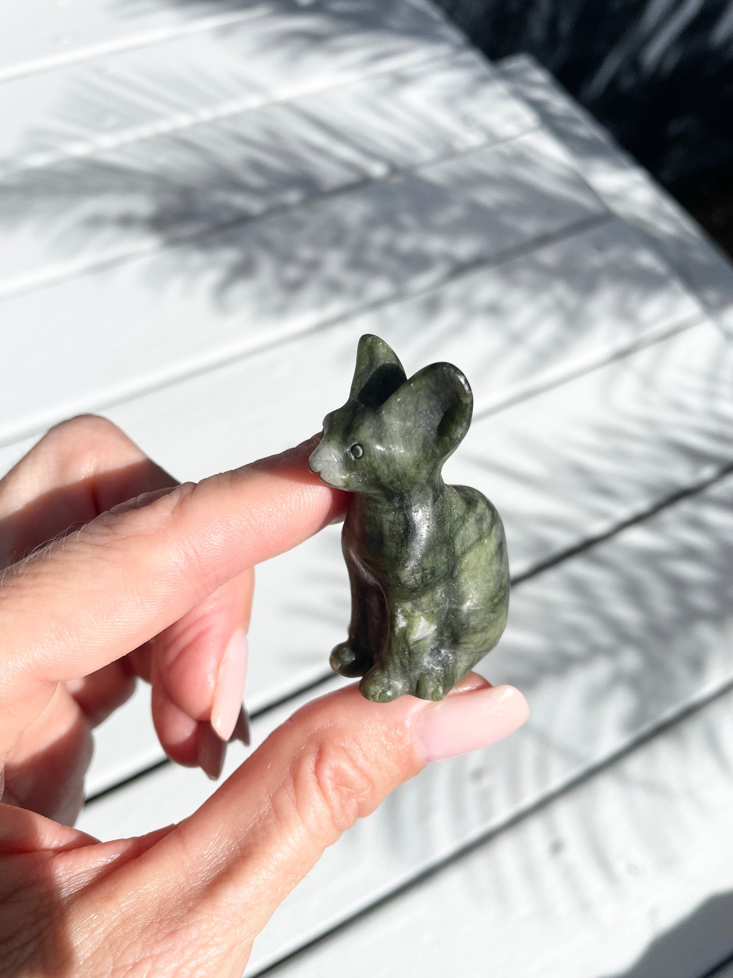 Jade Cat