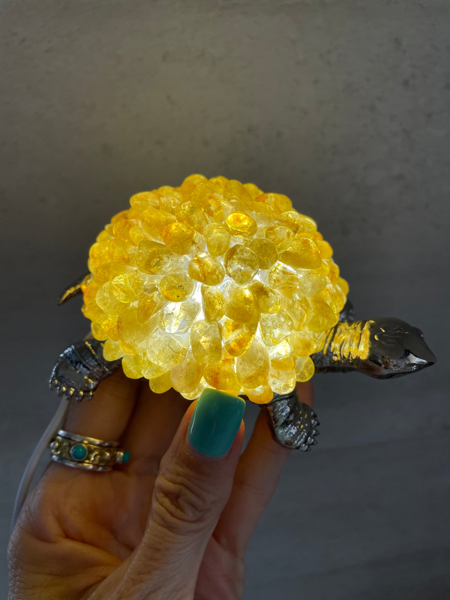 Tortoise Led Lamp ~ Citrine