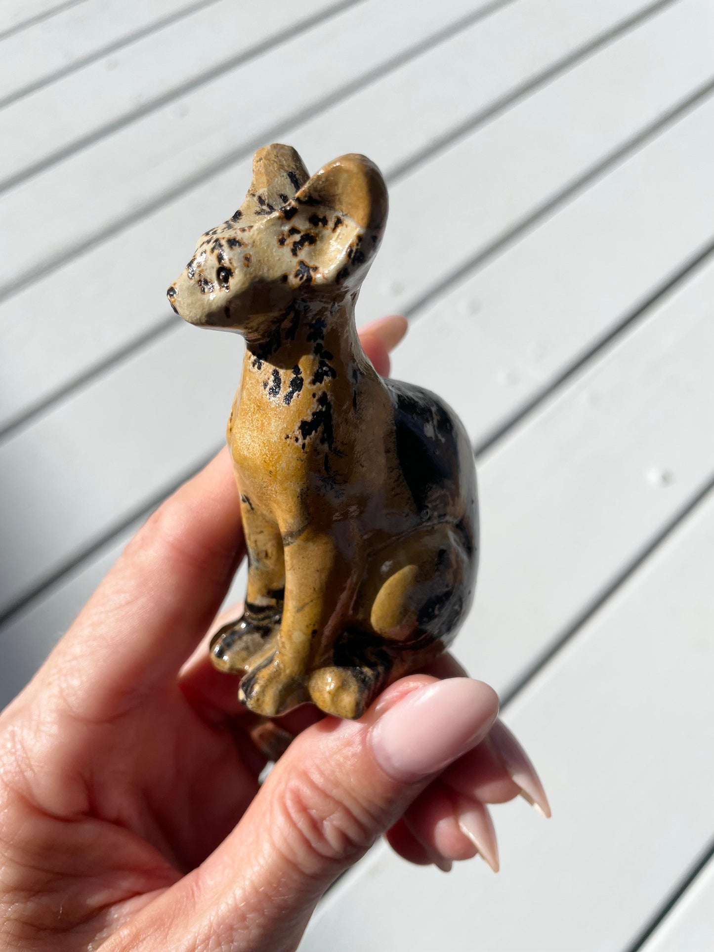 Picture Jasper Cat
