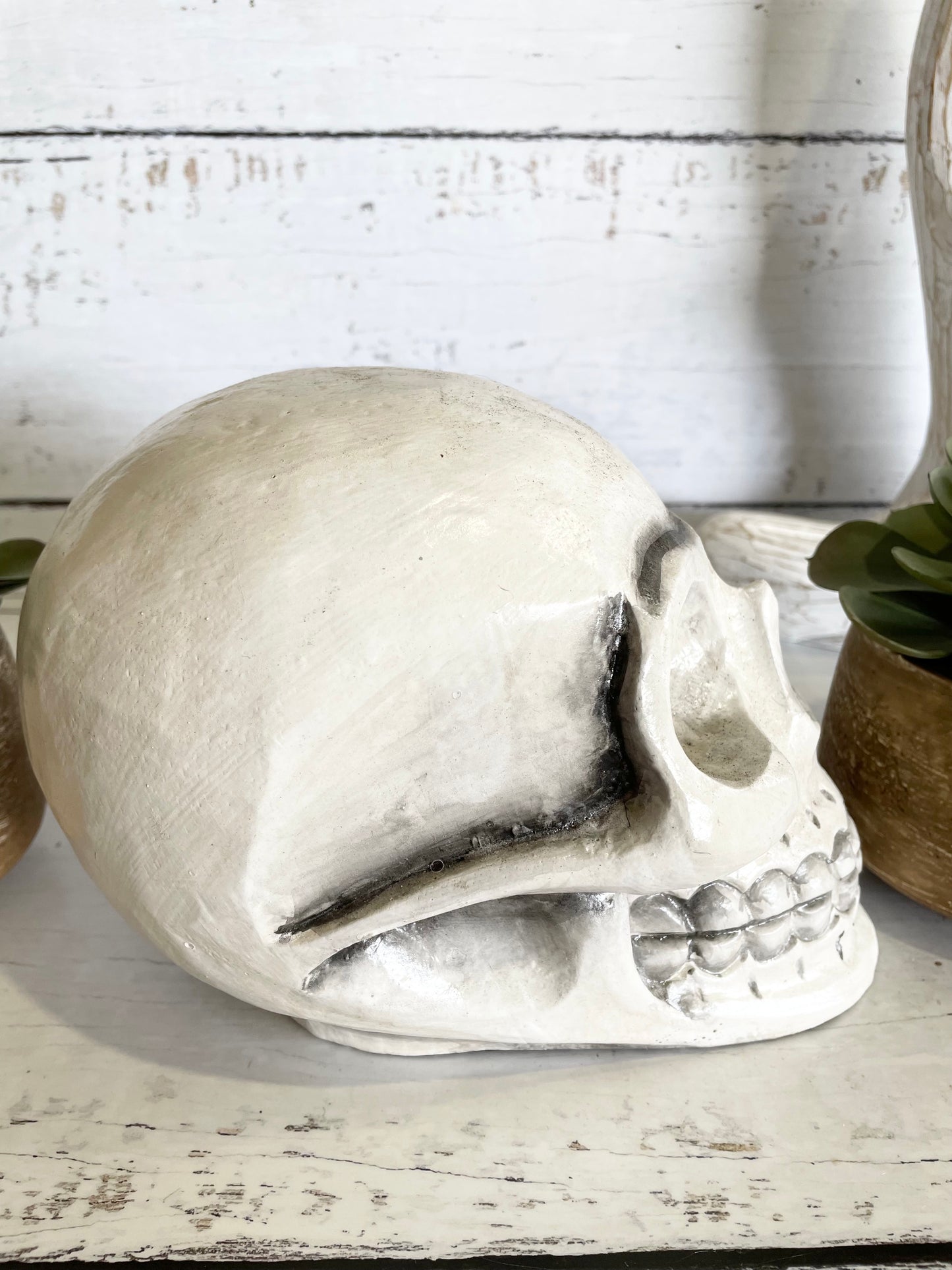 Mango Wood ~ Greywash Skull