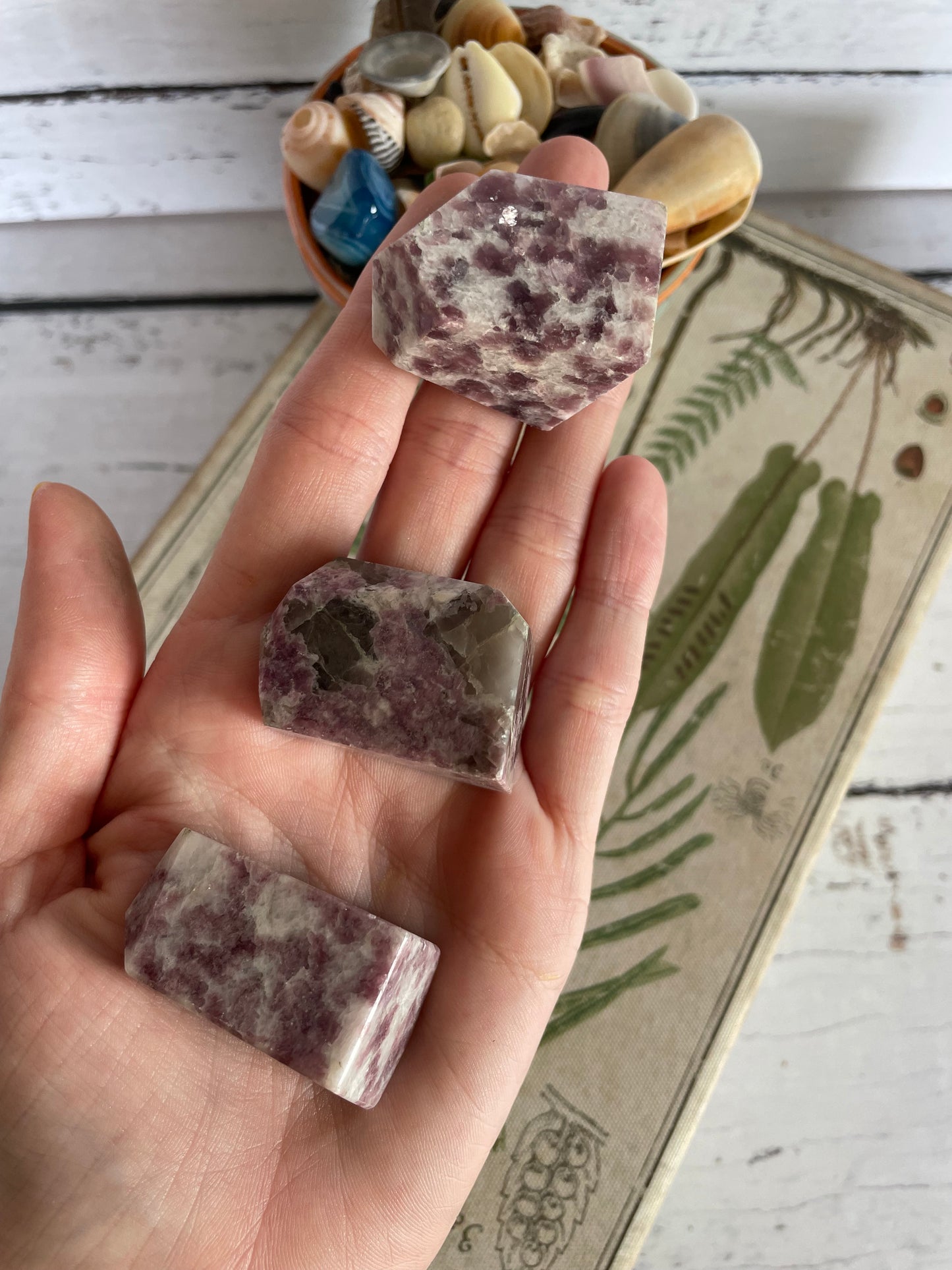 INTUITIVELY CHOSEN Lepidolite ~ Polished Freeform