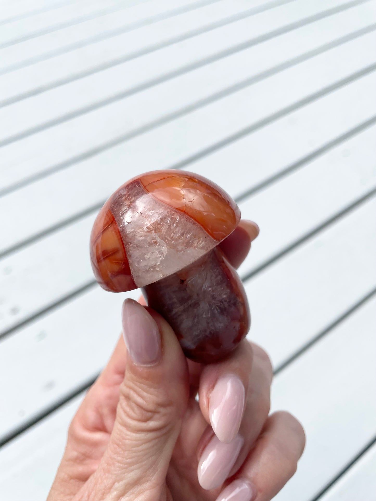 Carnelian Mushroom