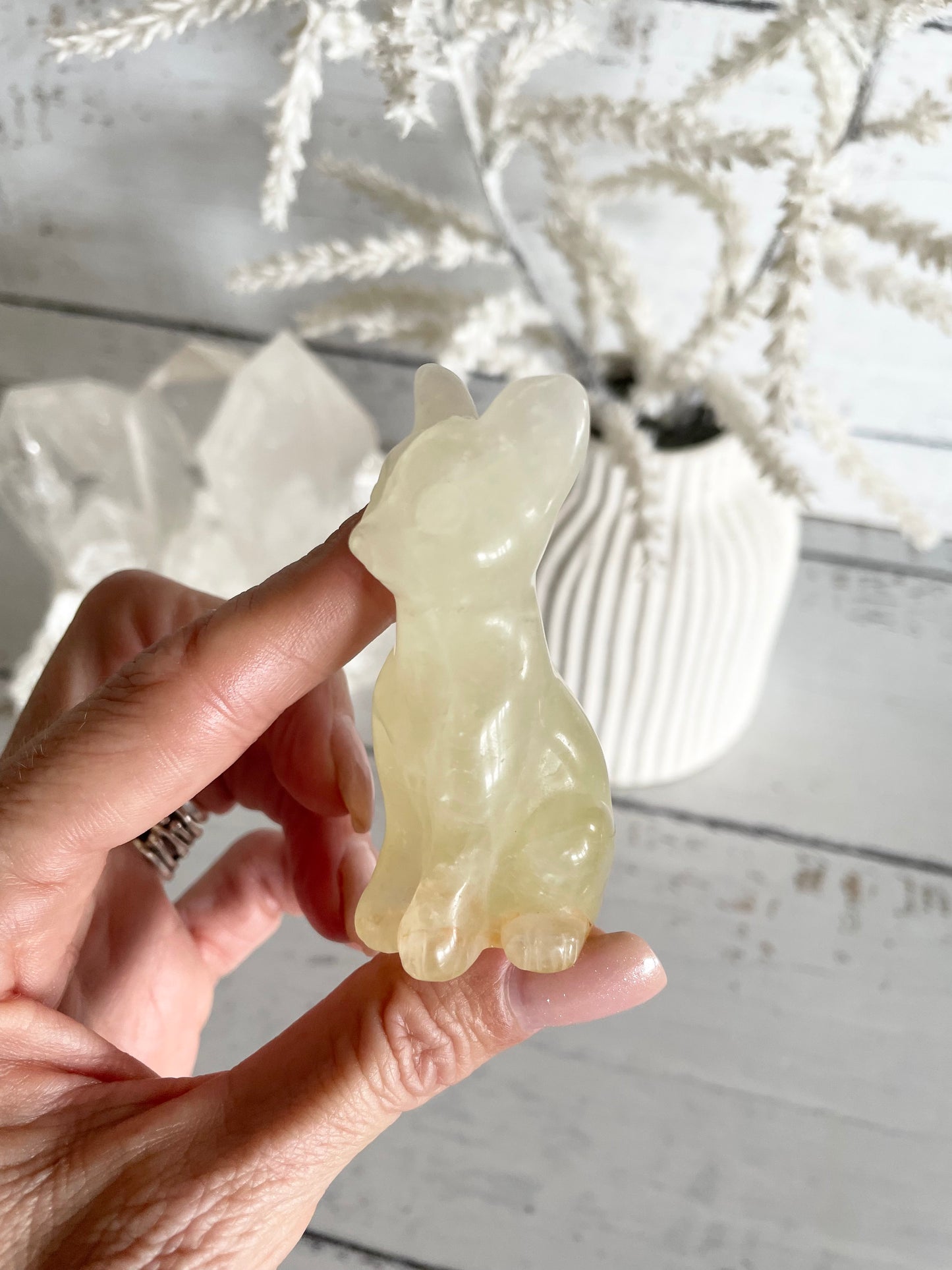 Cat - Afghanistan Jade