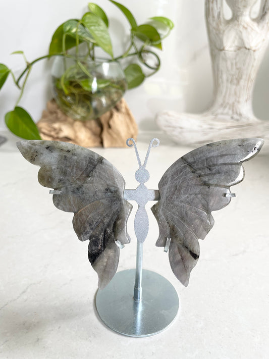 Butterfly ~ Labradorite