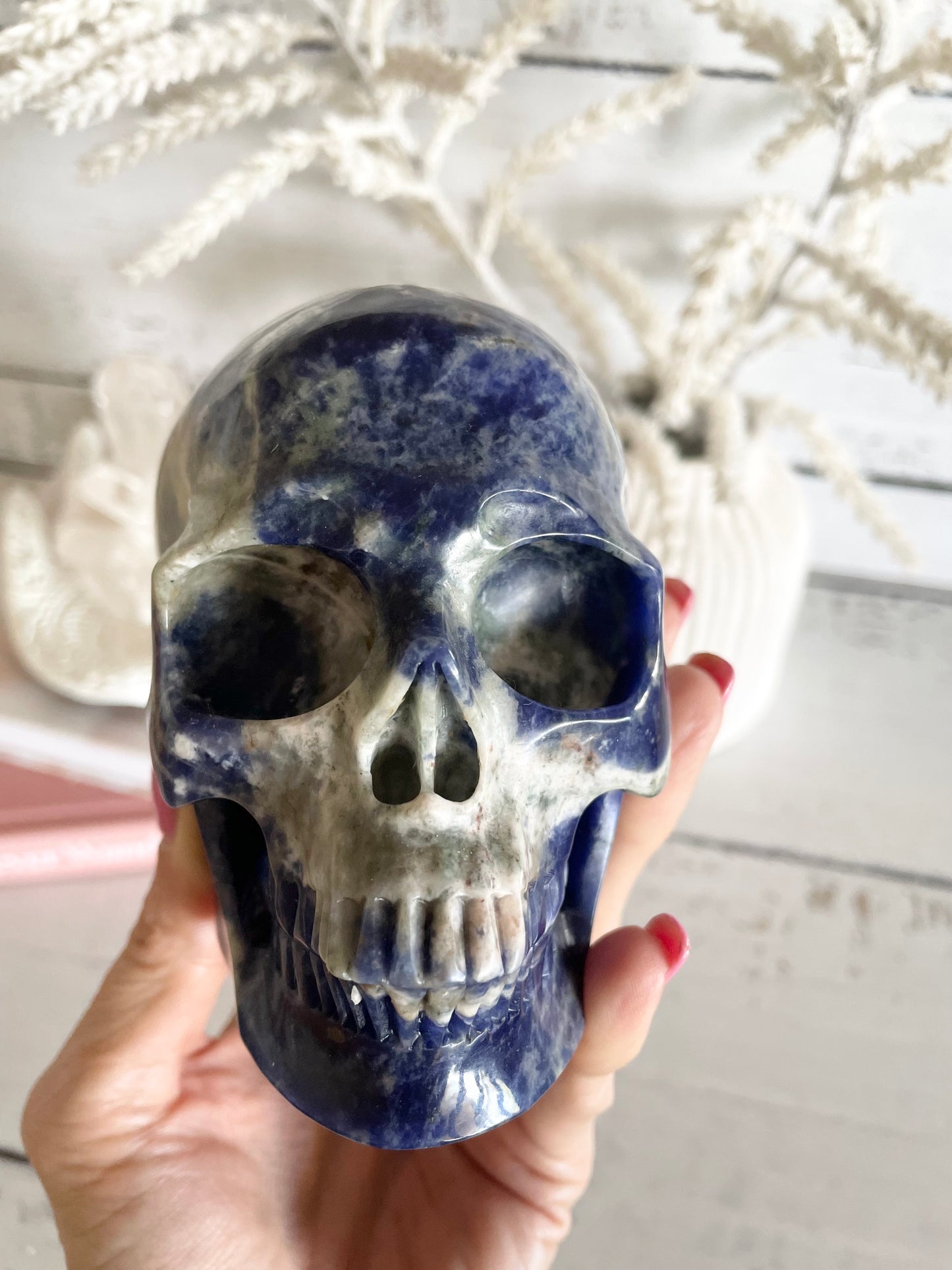 Sodalite Skull ~ 1.1kgs