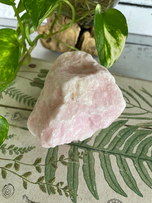 Pink Aragonite