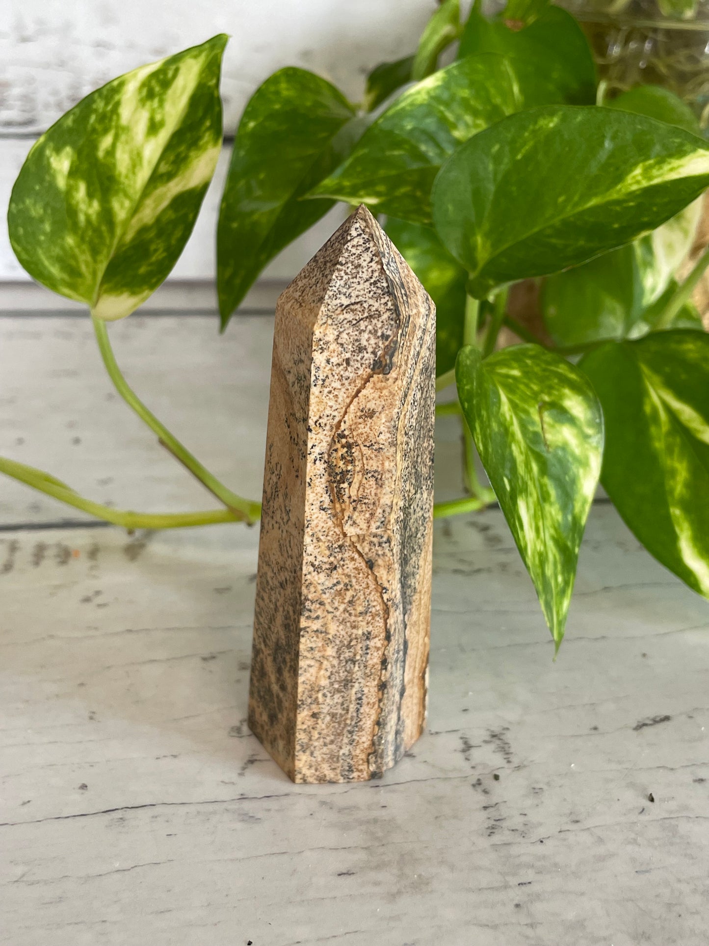 Picture Jasper Generator