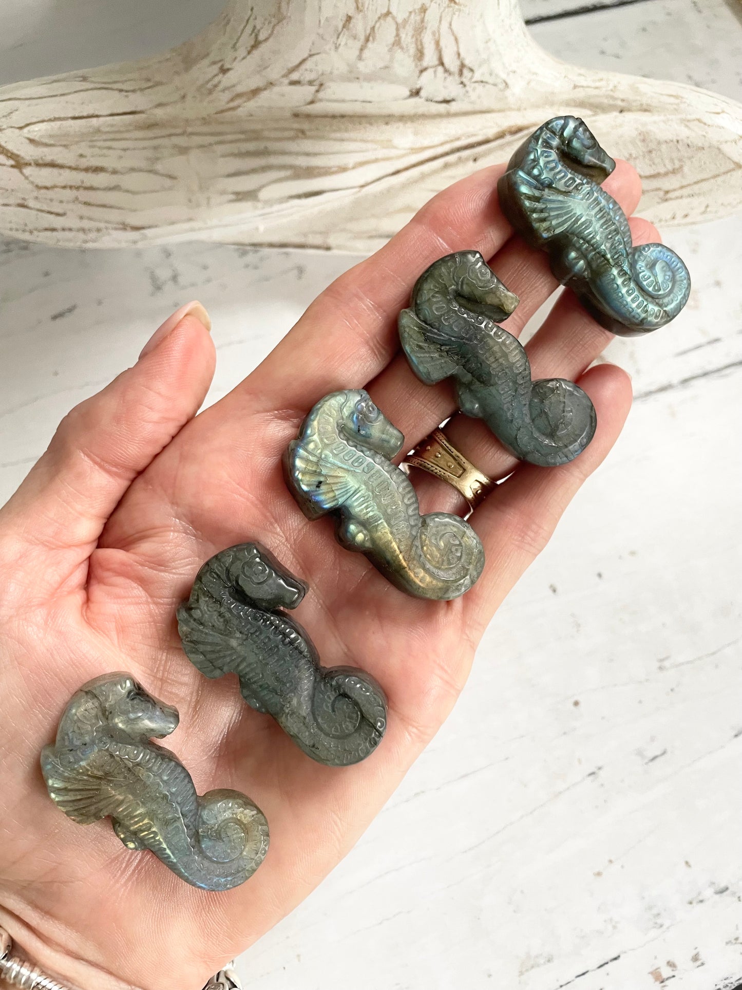 Intuitively Chosen ~ Labradorite Sea Horse