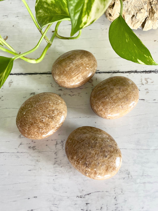 INTUITIVELY CHOSEN ~ Aragonite Pillow / Palm Stone
