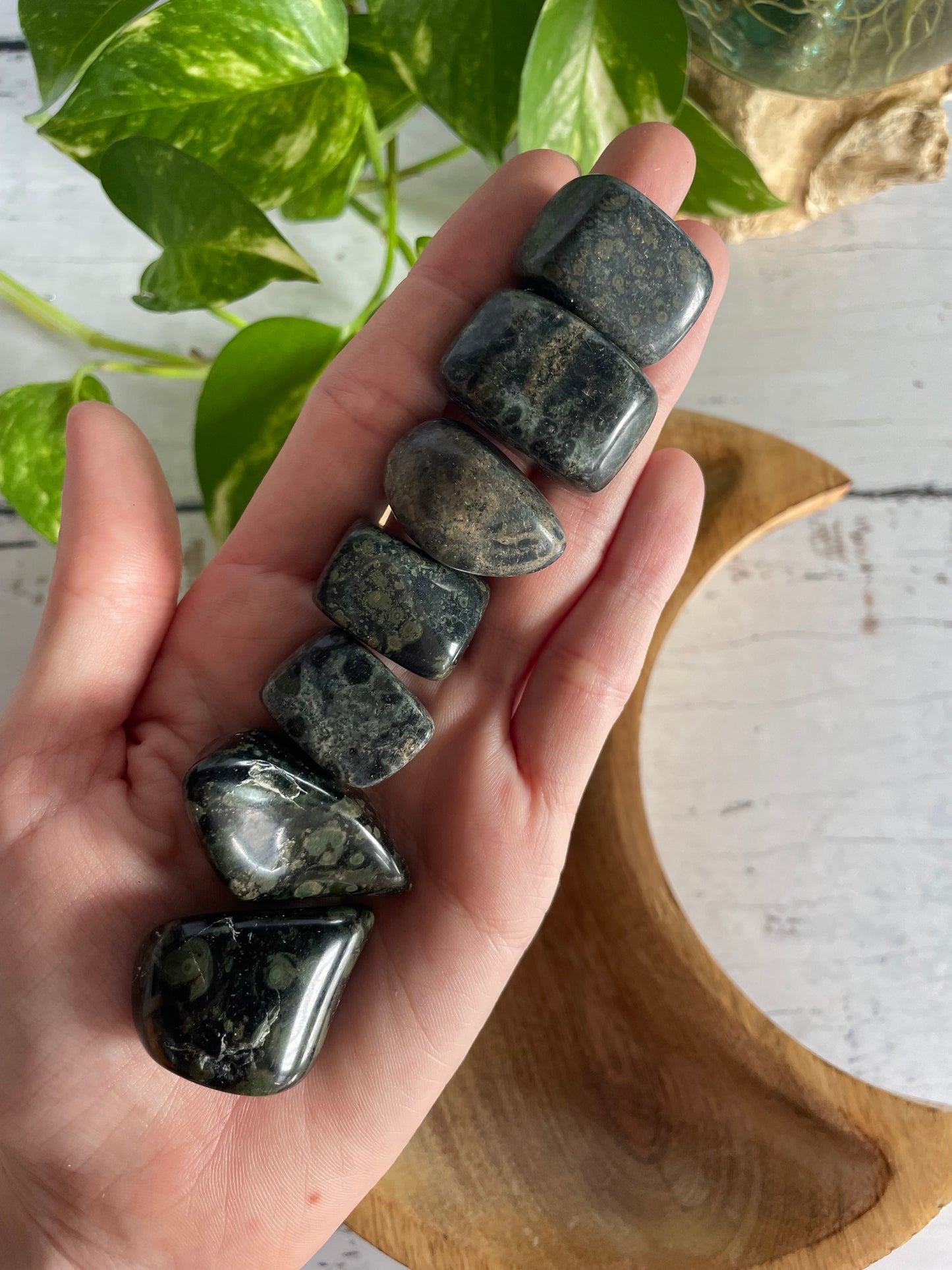 Kambaba/Crocodile Jasper Tumble Stones