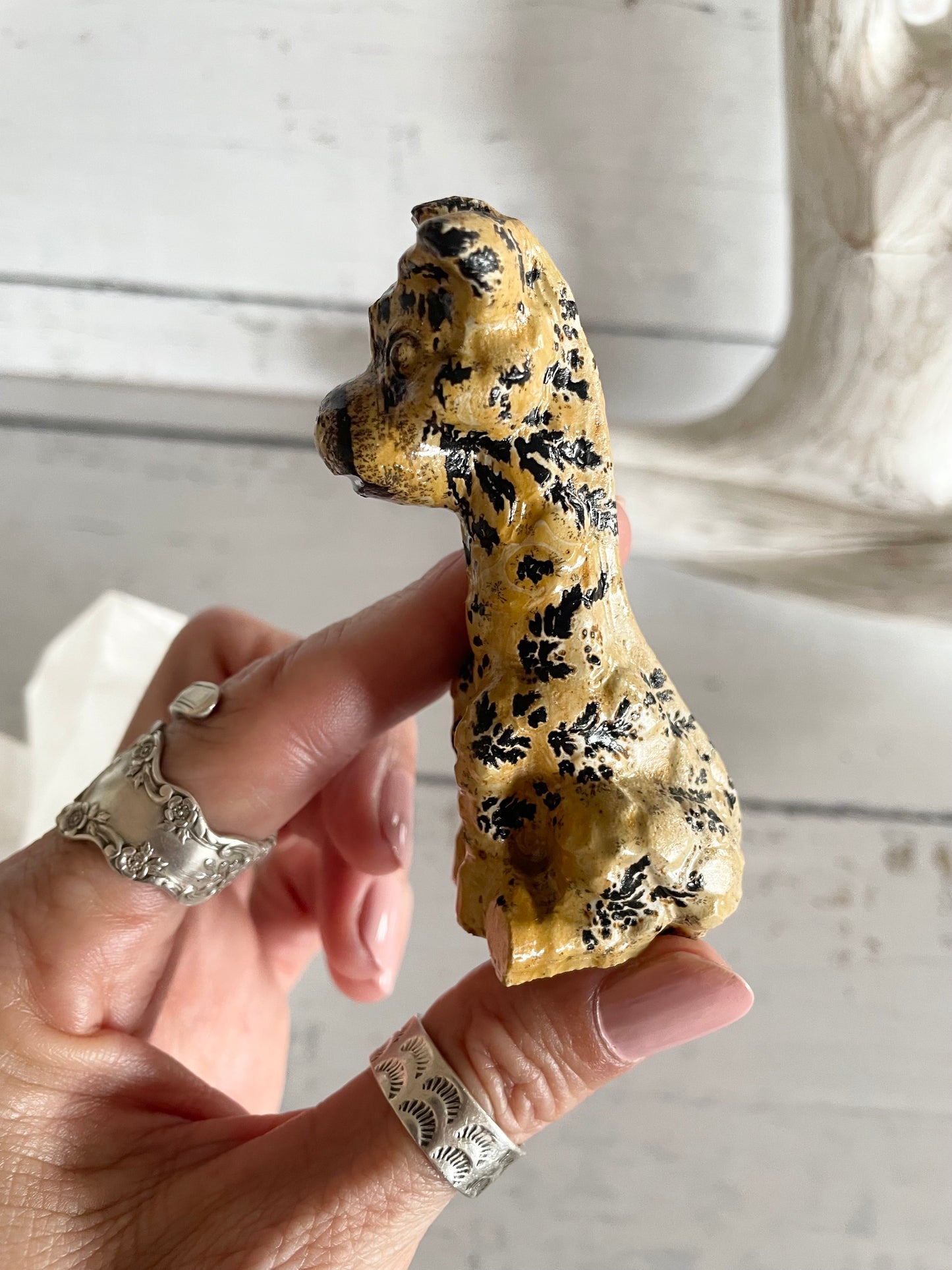 Picture Jasper Giraffe ~ 5