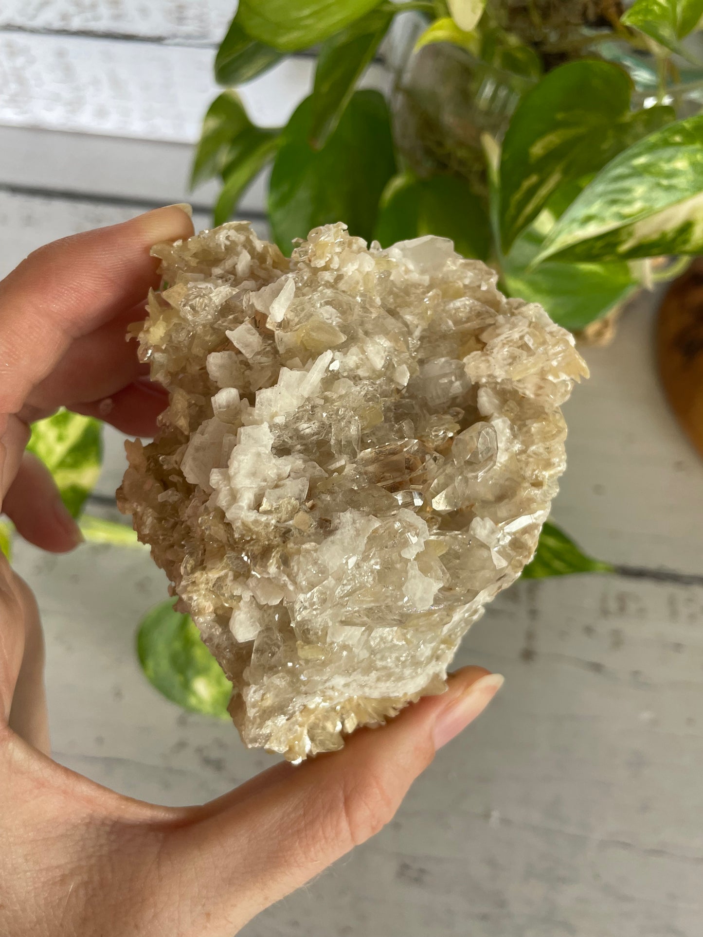 Mica in Quartz Cluster