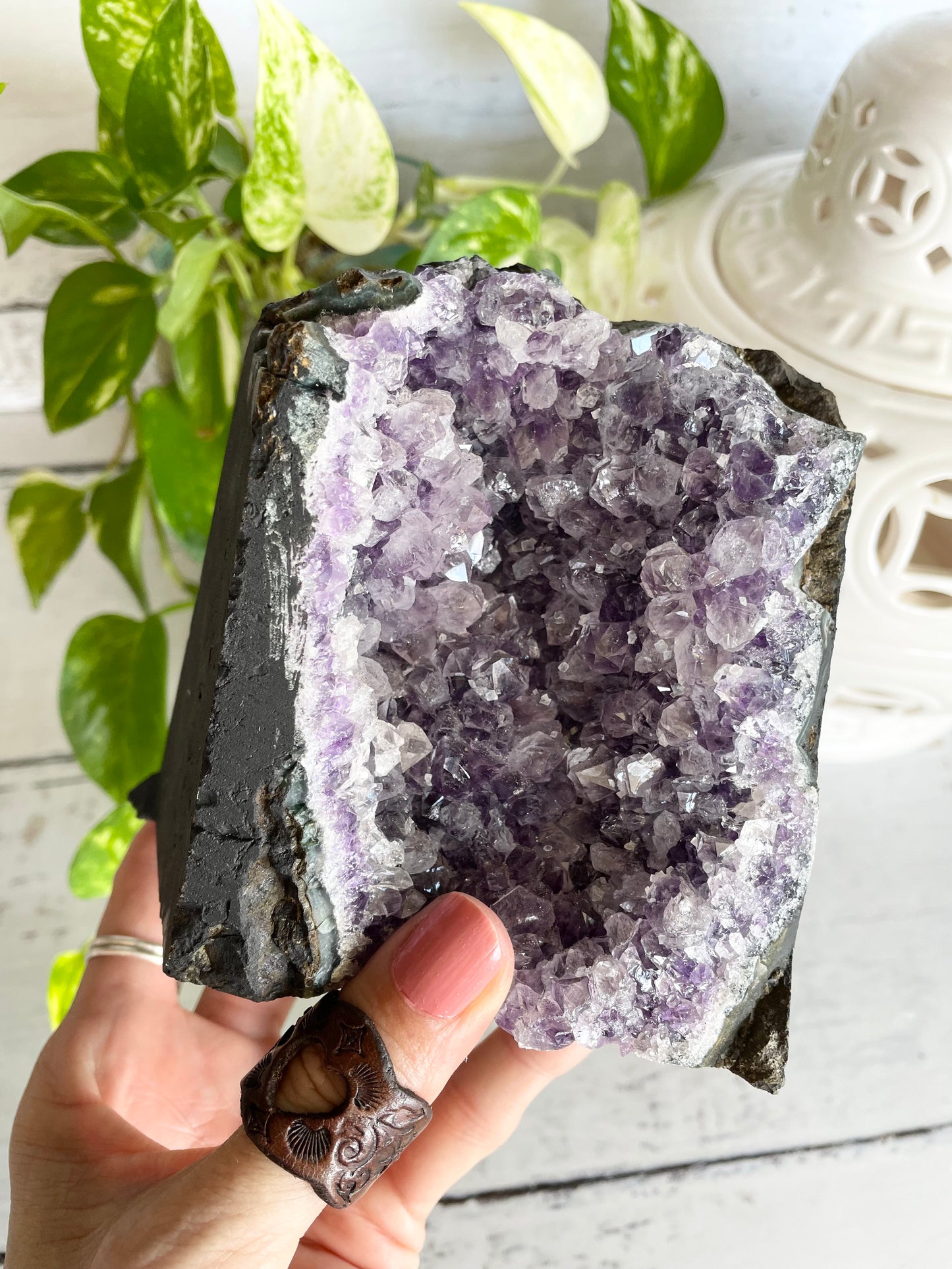 Amethyst Standing Cluster ~ 1.2kgs