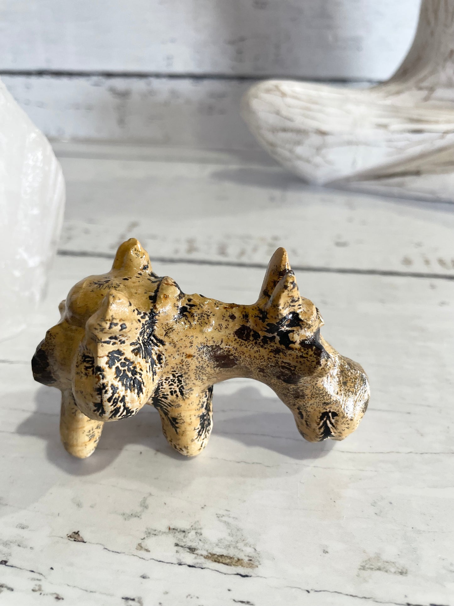 Picture Jasper Donkey ~ 12