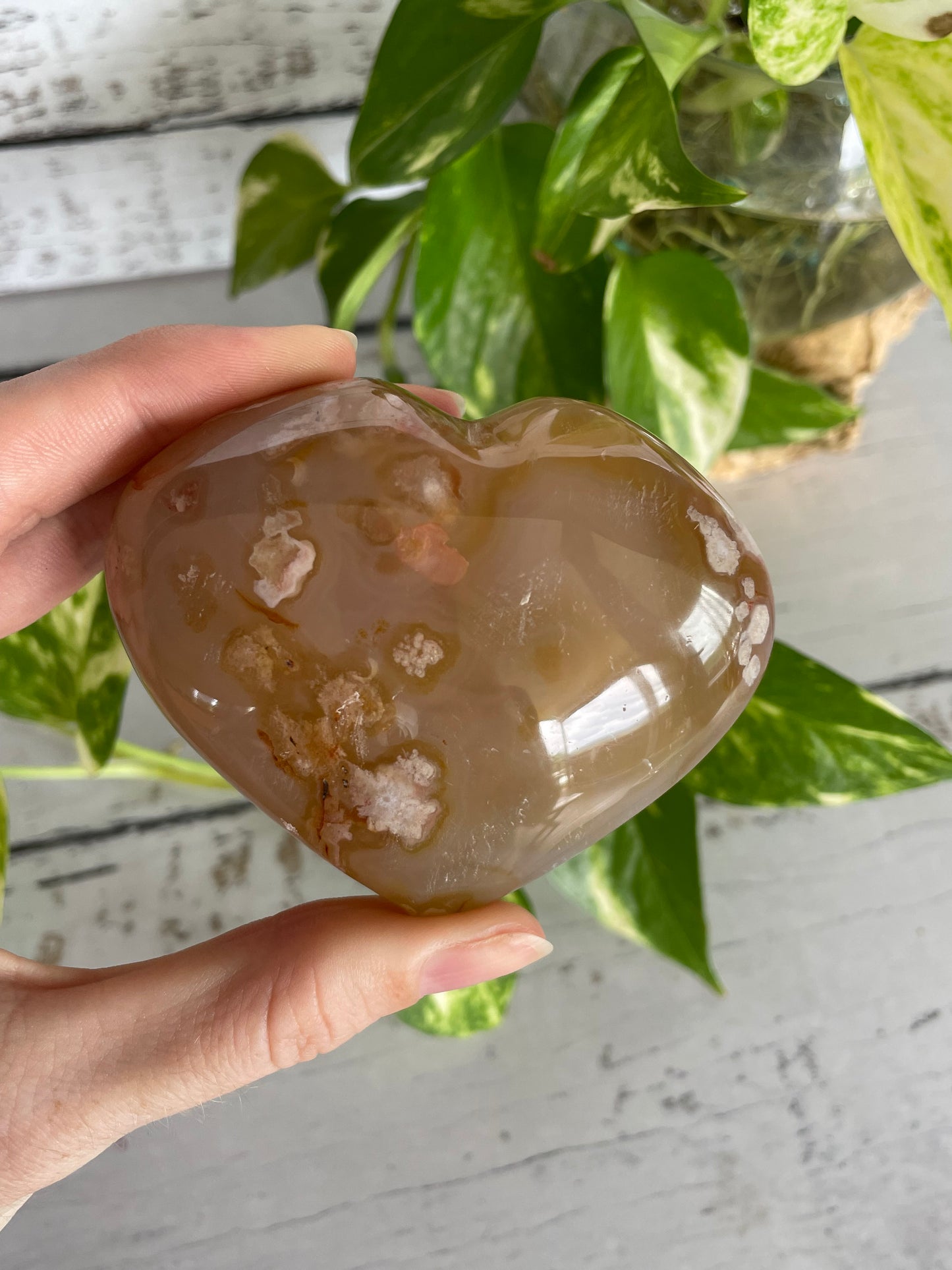 Flower Agate Heart