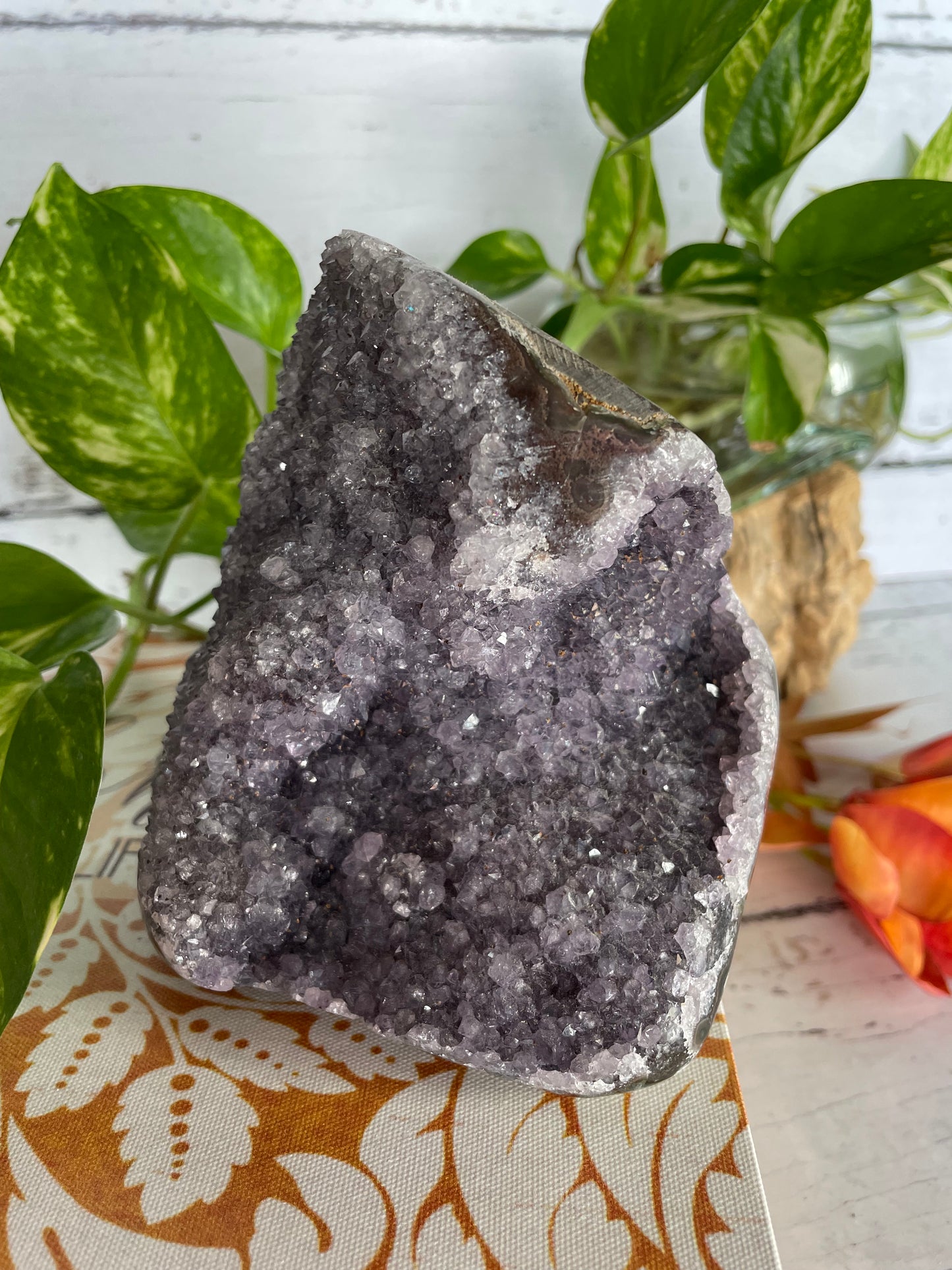 Amethyst Standing Cluster ~ 1.1kgs