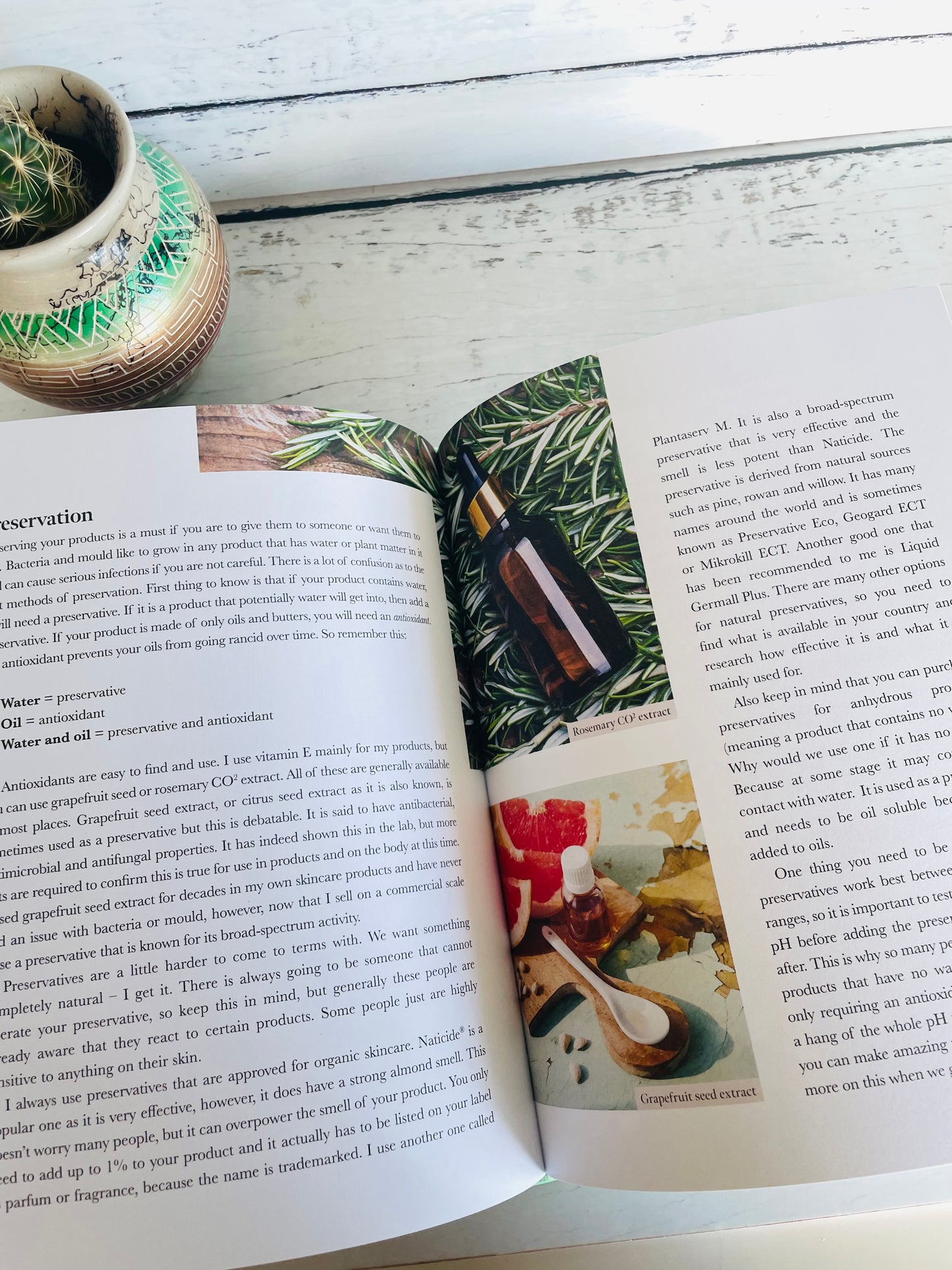Plant Spirit Medicine