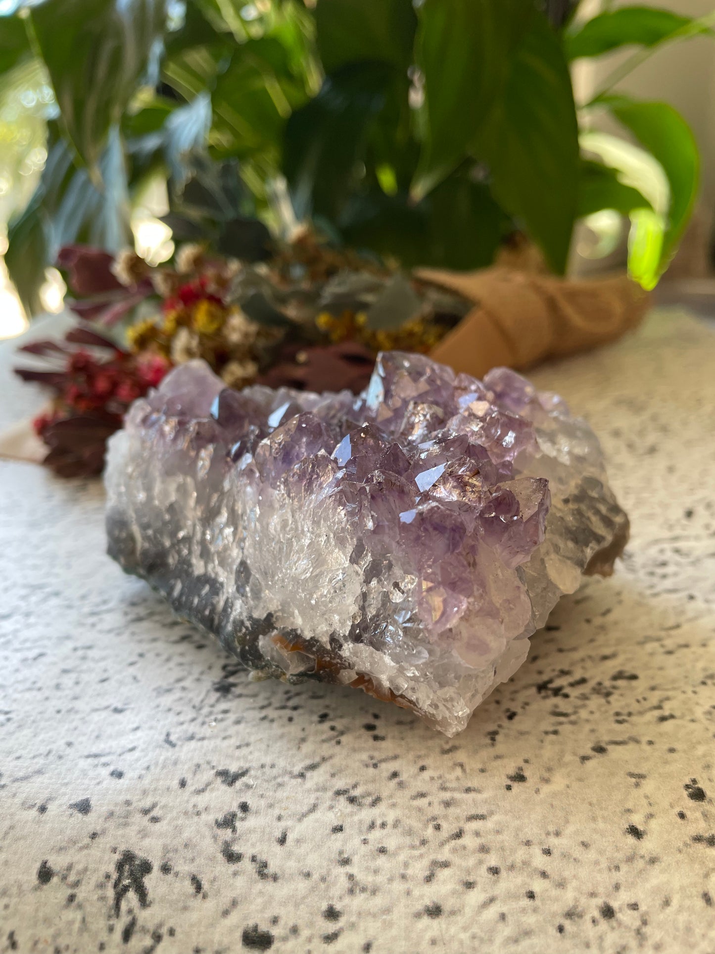 Amethyst Cluster