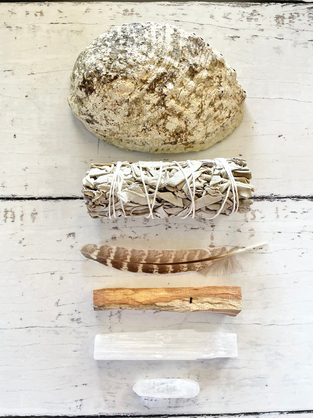 Abalone Shell /Smoke Medicine kit ~ Set of 6
