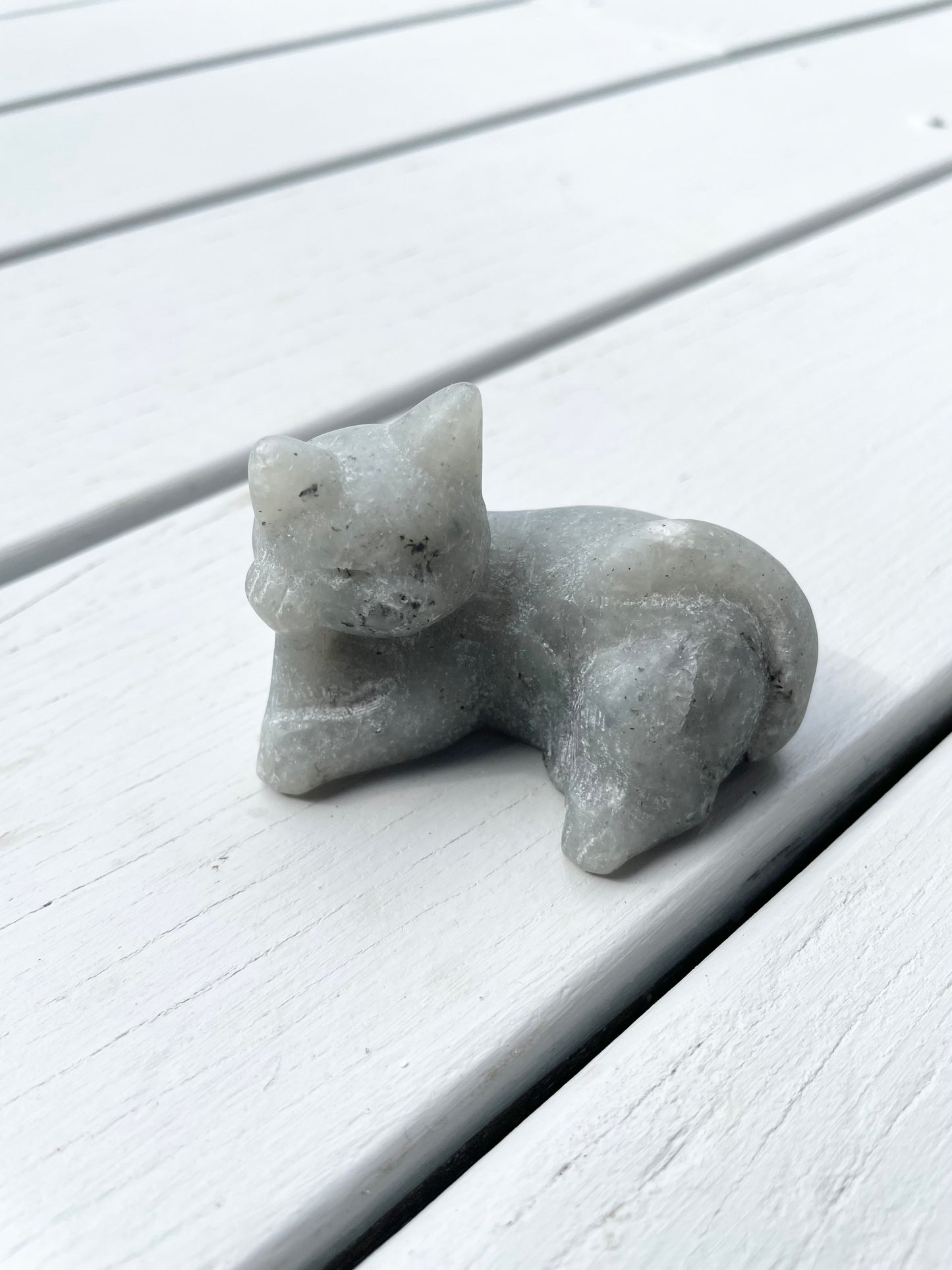 labradorite  Cat