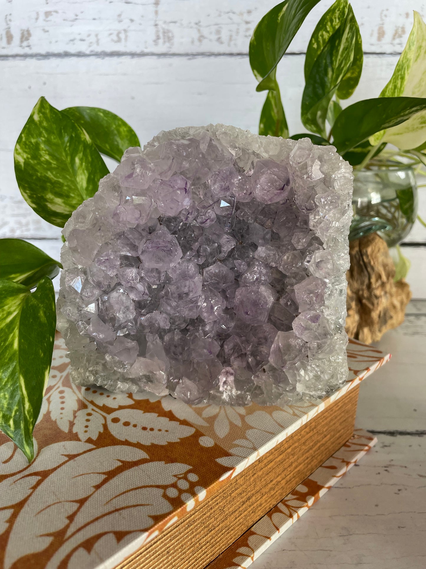 Amethyst Standing Cluster ~ 1.2kgs