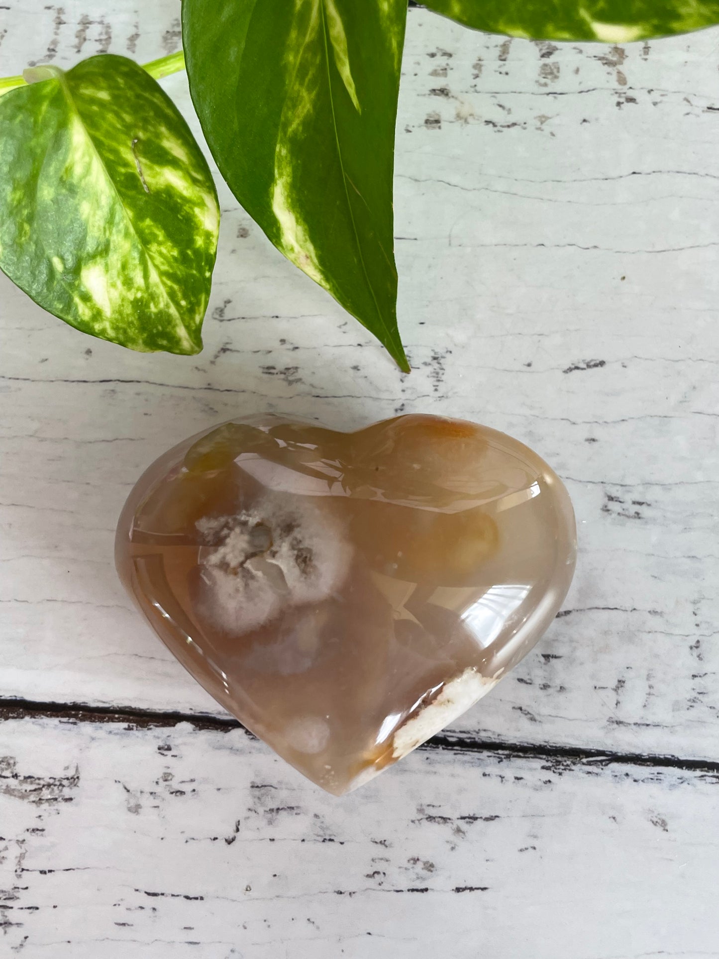 Flower Agate Heart