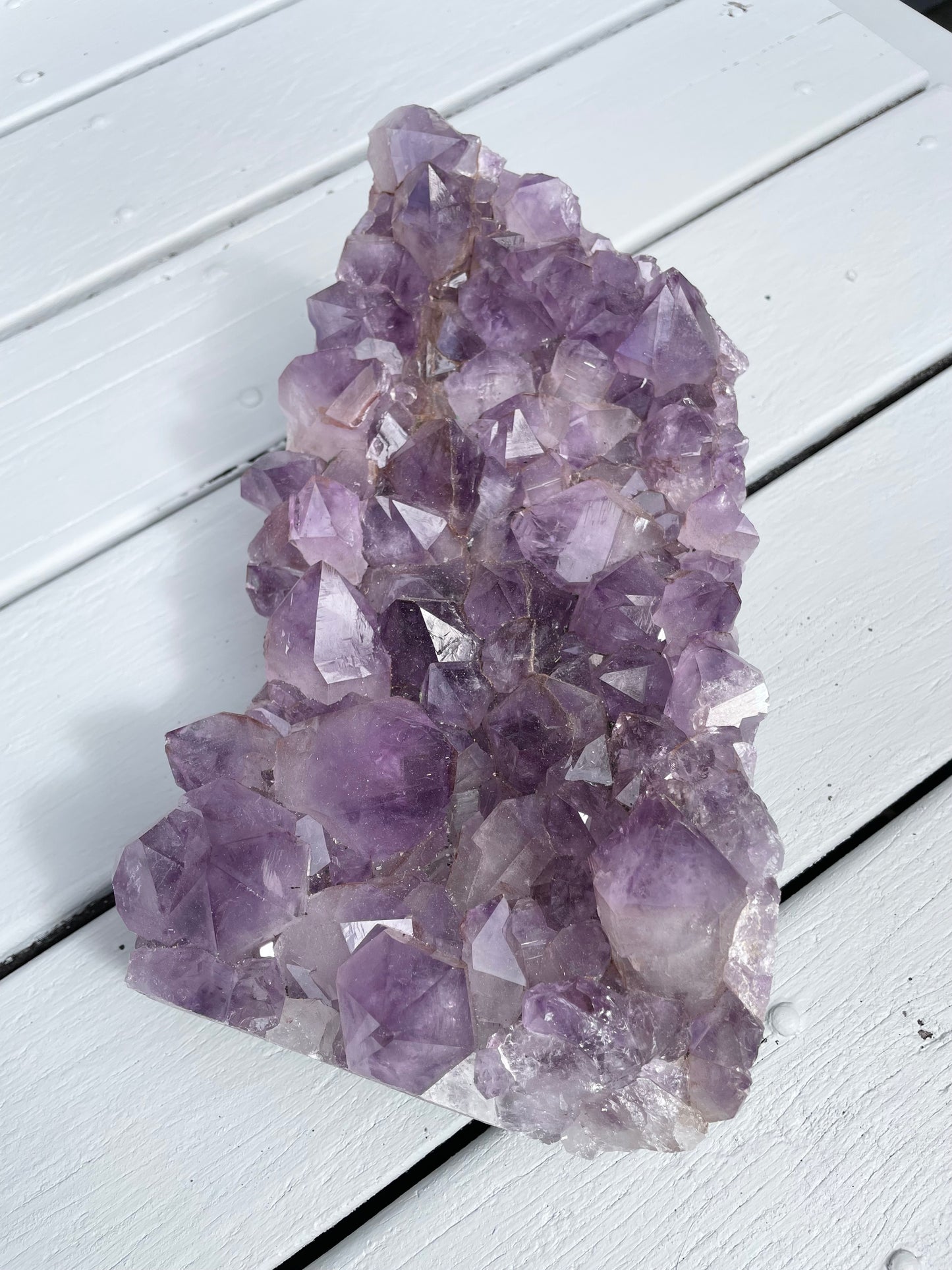 Amethyst Cluster ~ 2.2kgs