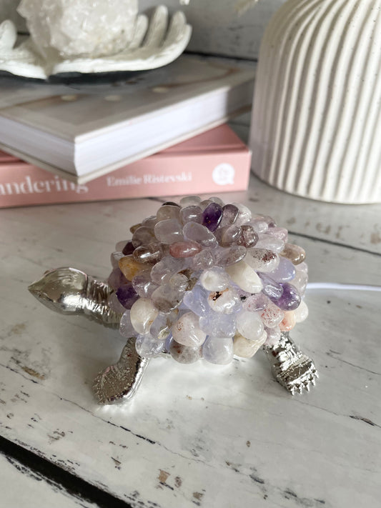 Tortoise Led Lamp - Super 7 Cocoxenite