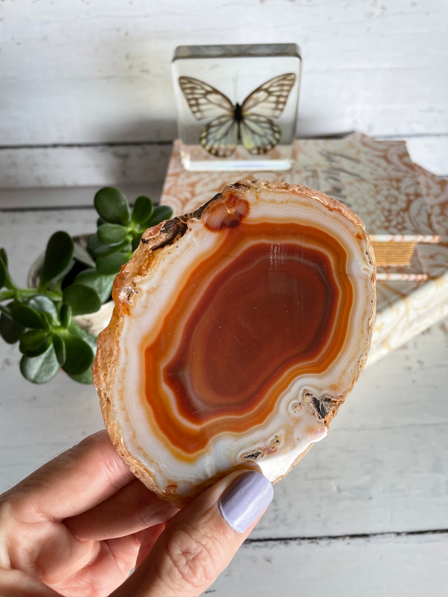 Agate Slice ~ Orange