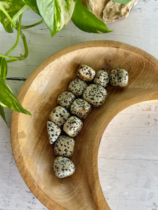 Dalmatian Jasper Tumble Stones