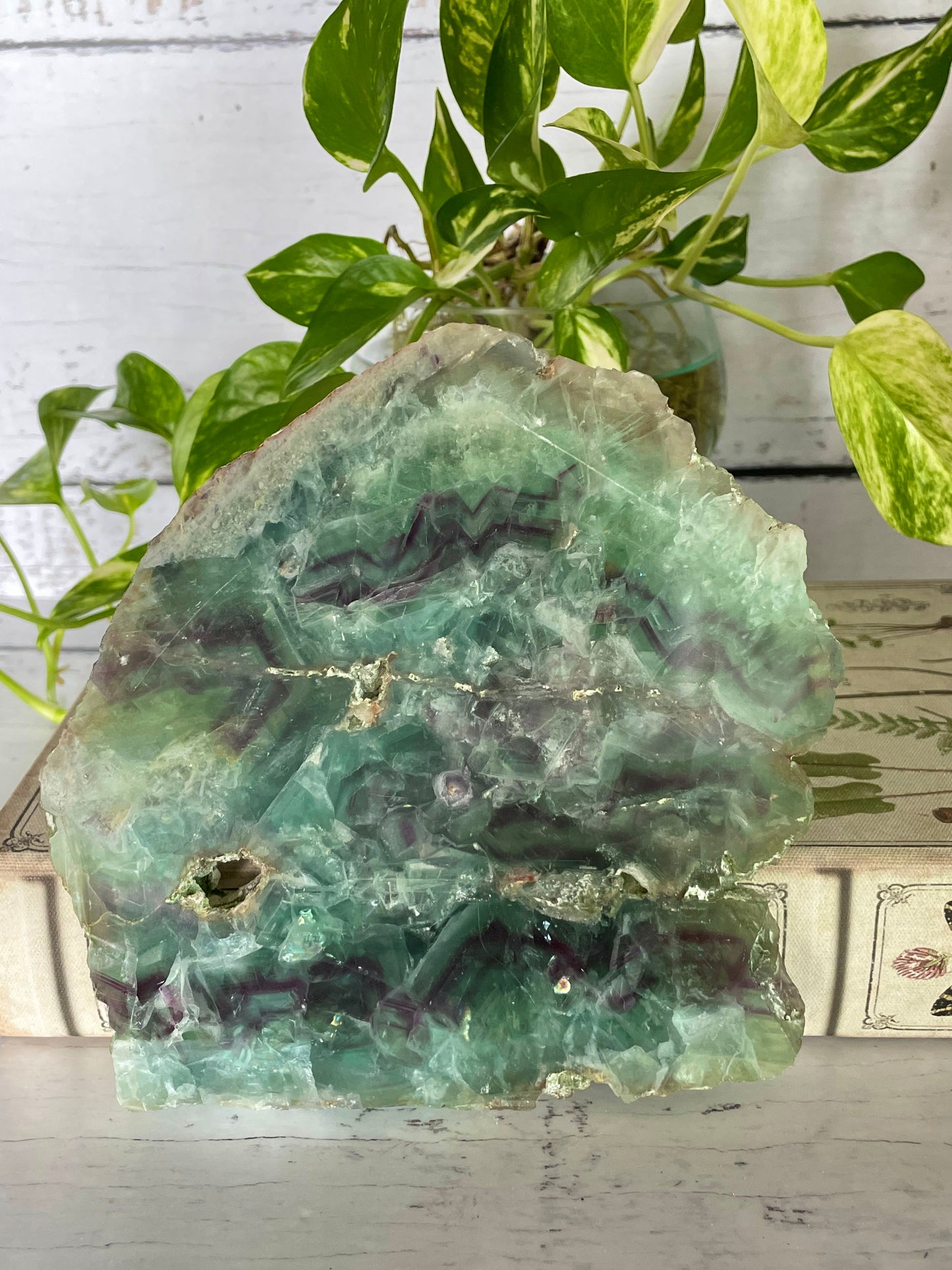 Rainbow Fluorite Slab