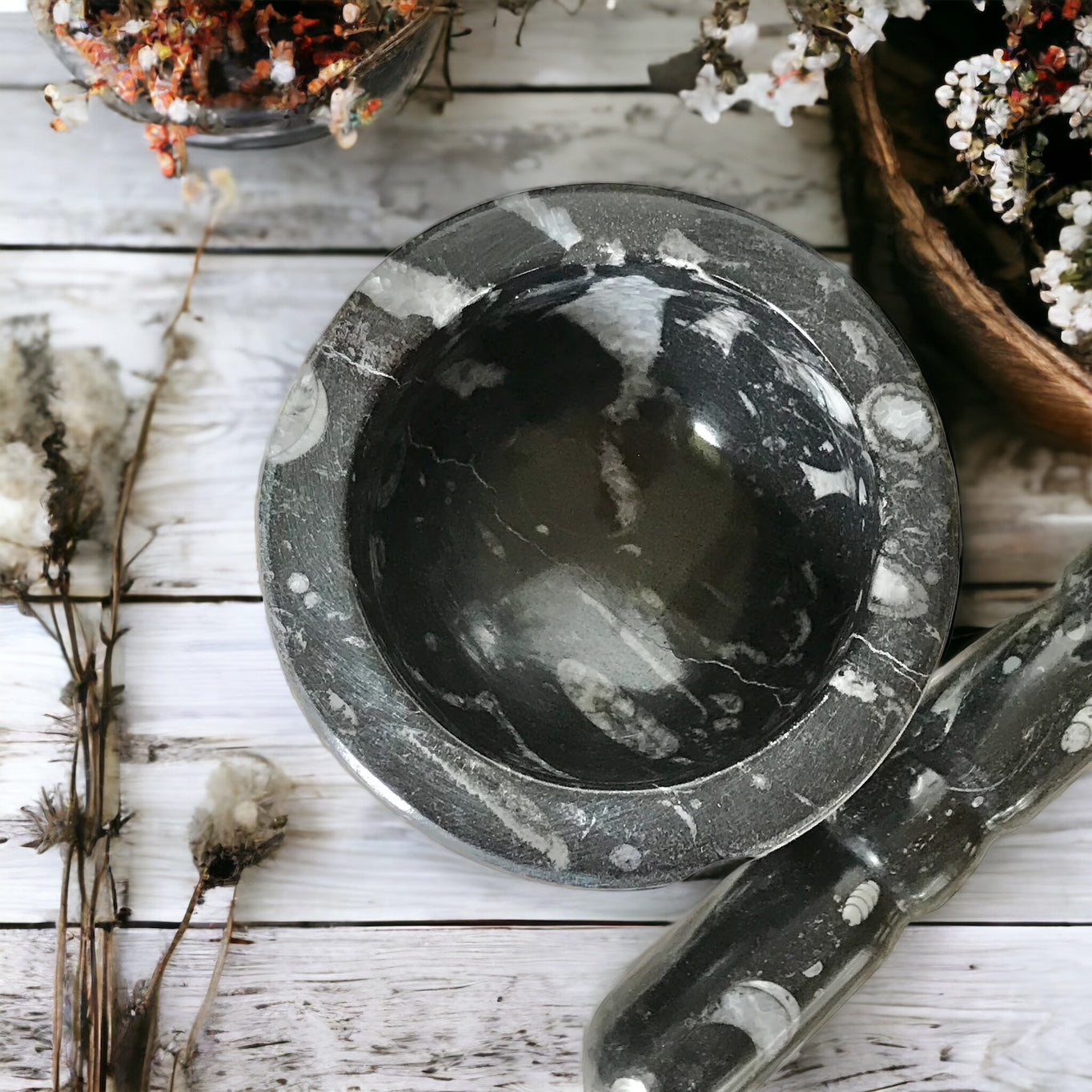 Orthoceras Fossil Mortar & Pestle