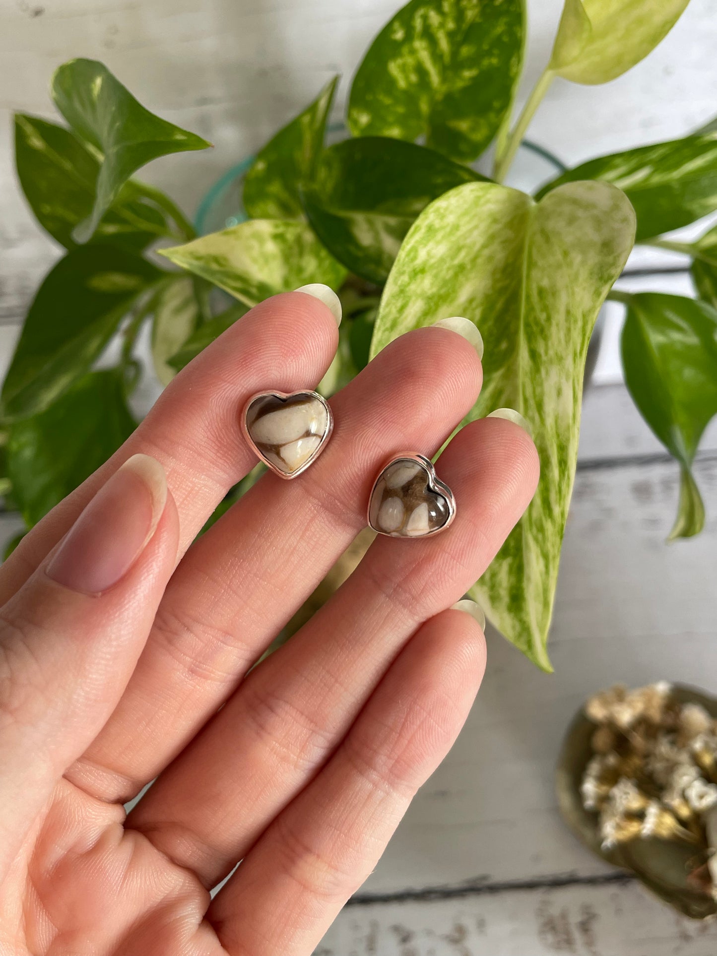 Petrified Wood Silver Studs ~ Nurture