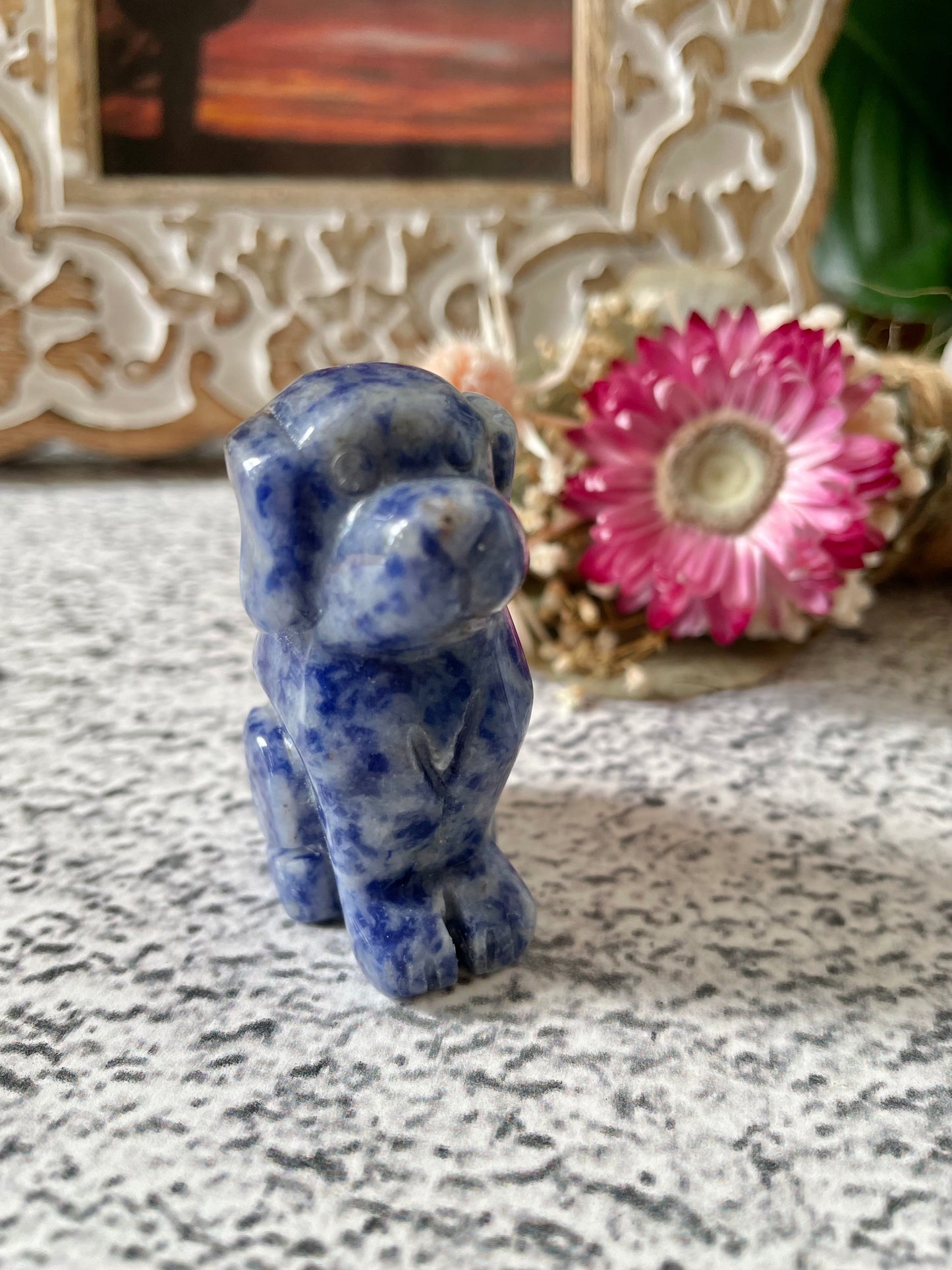 Blue Spotted Jasper Dog